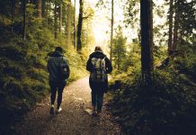 2 mensen wandelen in het bos